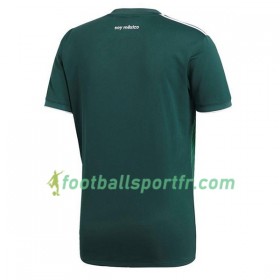 Tenue Mexique Féminine Domicile Coupe du monde 2018 Maillot de Foot